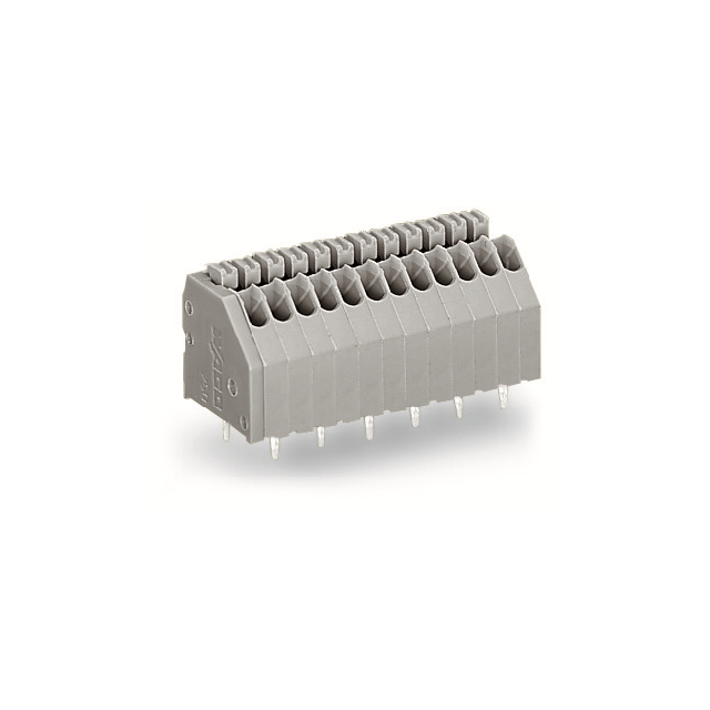 250-404