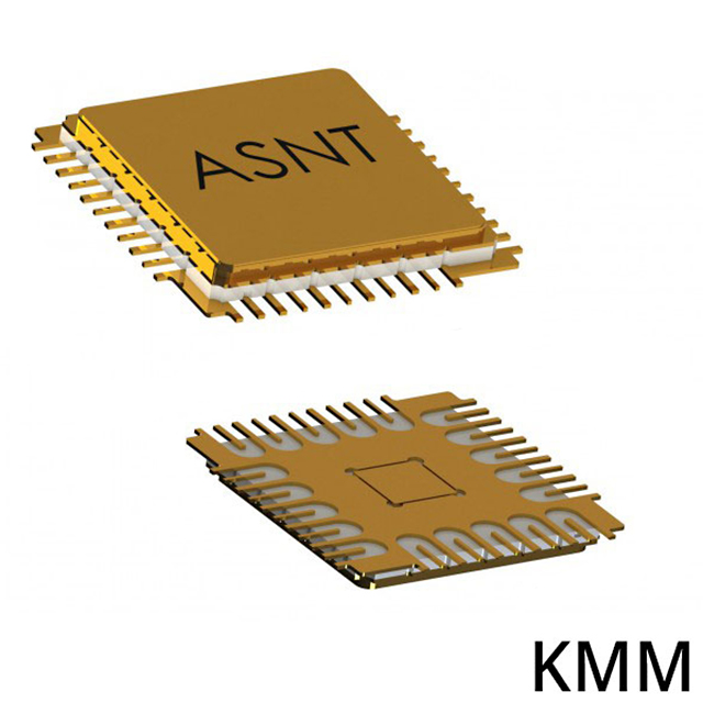ASNT6164-KMM ASNT6164-KMM