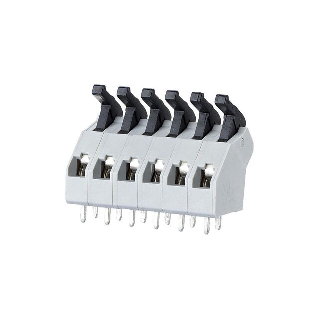 AST0450604 AST0450604