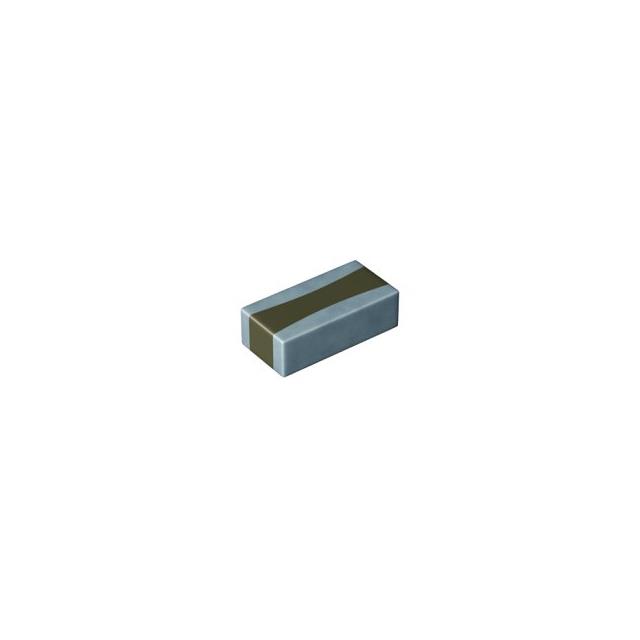 MCRLJ219SB5106MTNA1J