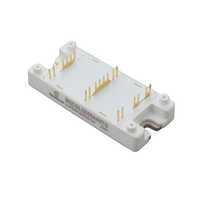 MSCGLQ200A65TG MSCGLQ200A65TG