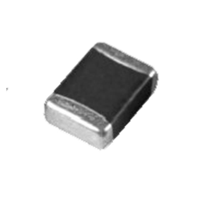 NCB0402P301TR005F