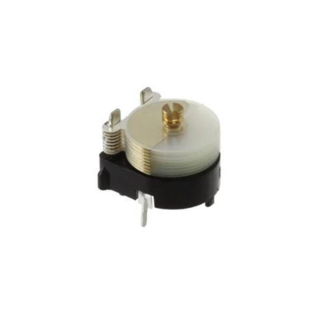 PPZN30100
