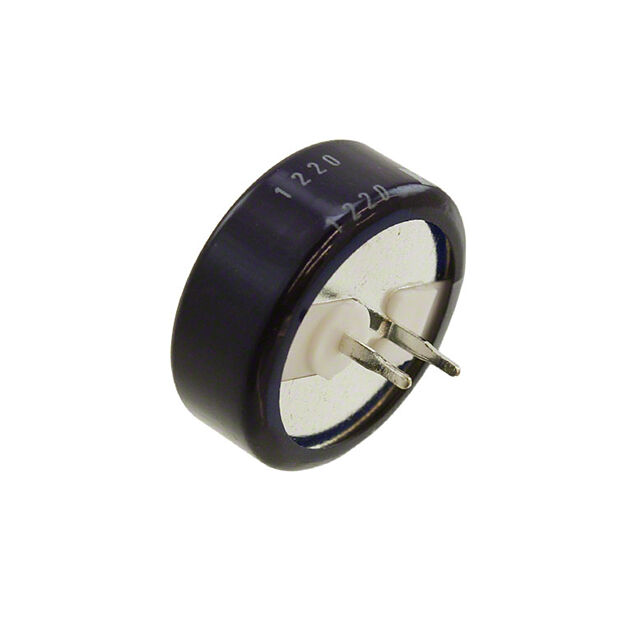 RSRJ3101M4EF12300T